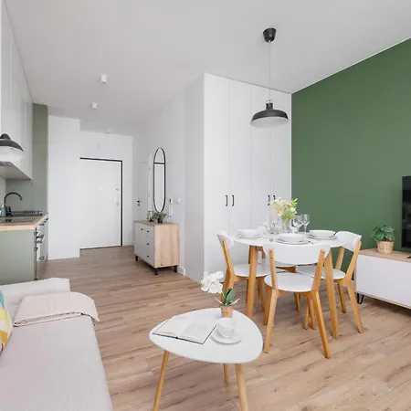 Goreckiego Studio With Parking Katowice Spodek By Noclegi Renters Esterno foto